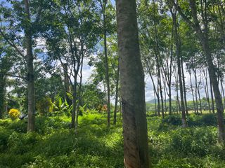 For sale land in Thai Mueang, Phang Nga