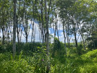 For sale land in Thai Mueang, Phang Nga