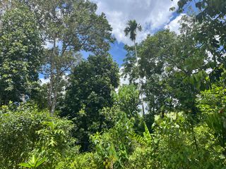 For sale land in Thai Mueang, Phang Nga