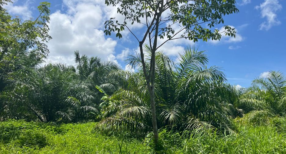 For sale land in Thai Mueang, Phang Nga