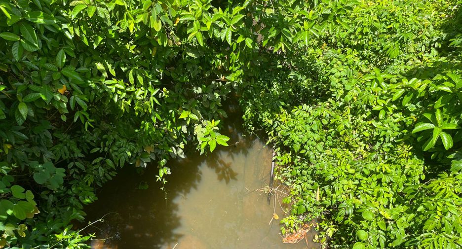 For sale land in Thai Mueang, Phang Nga