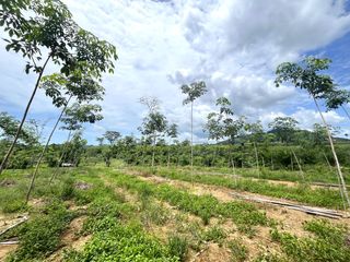 For sale land in Thai Mueang, Phang Nga