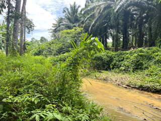 For sale land in Thai Mueang, Phang Nga