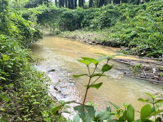 For sale land in Thai Mueang, Phang Nga