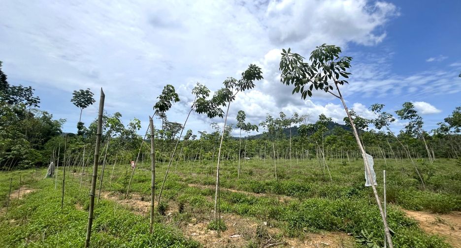 À vendre terrain à Thai Mueang, Phang Nga
