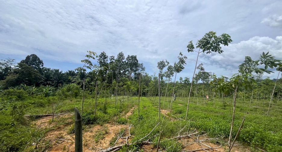 À vendre terrain à Thai Mueang, Phang Nga