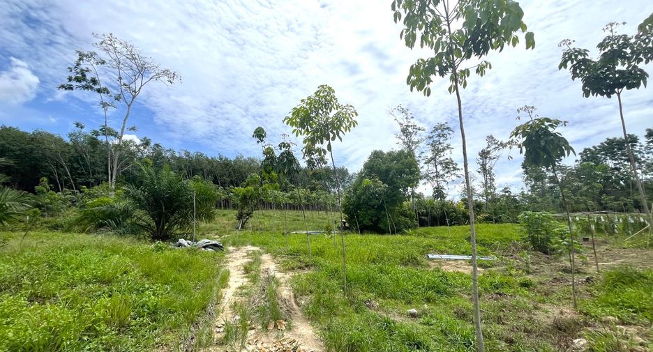 À vendre terrain à Thai Mueang, Phang Nga