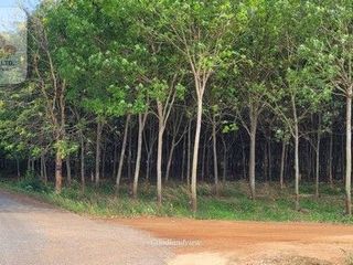 For sale land in Ko Chan, Chonburi