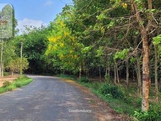 For sale land in Ko Chan, Chonburi