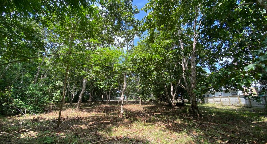 Terreno en venta en Mueang Krabi, Krabi