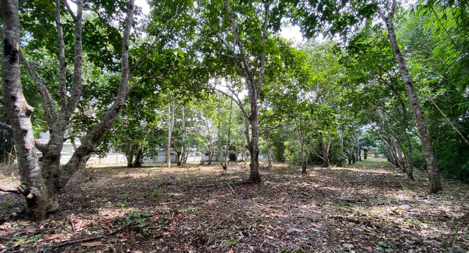 Terreno en venta en Mueang Krabi, Krabi