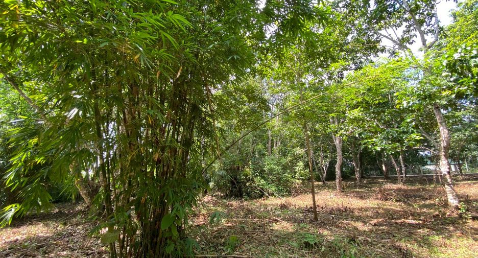 Terreno en venta en Mueang Krabi, Krabi