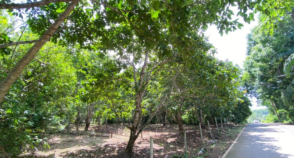 Terreno en venta en Mueang Krabi, Krabi