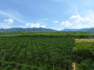 For sale land in Thai Mueang, Phang Nga