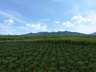 For sale land in Thai Mueang, Phang Nga
