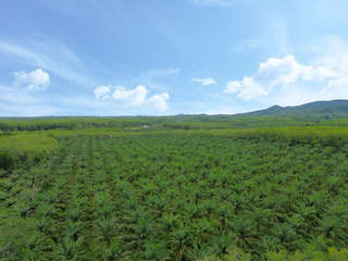 For sale land in Thai Mueang, Phang Nga