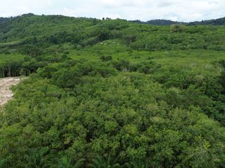 For sale land in Thai Mueang, Phang Nga
