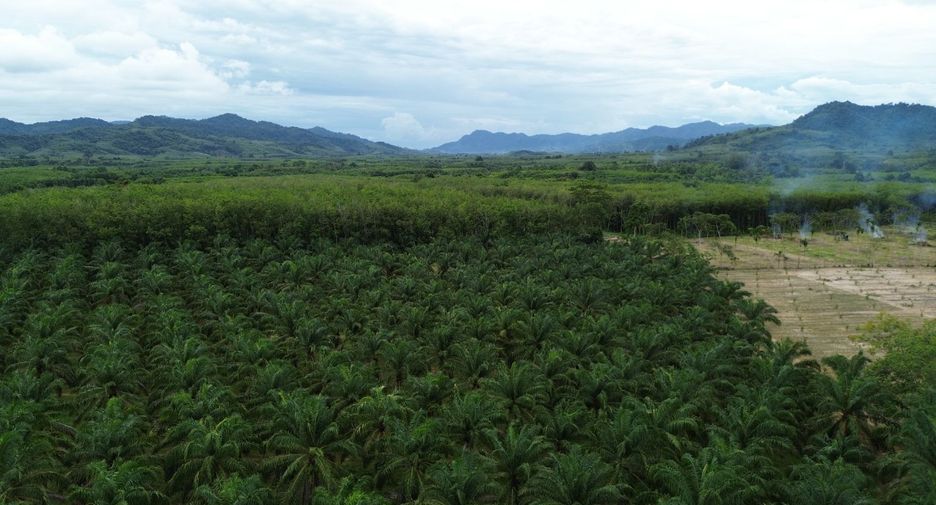 出售 土地 在 Thai Mueang, Phangnga