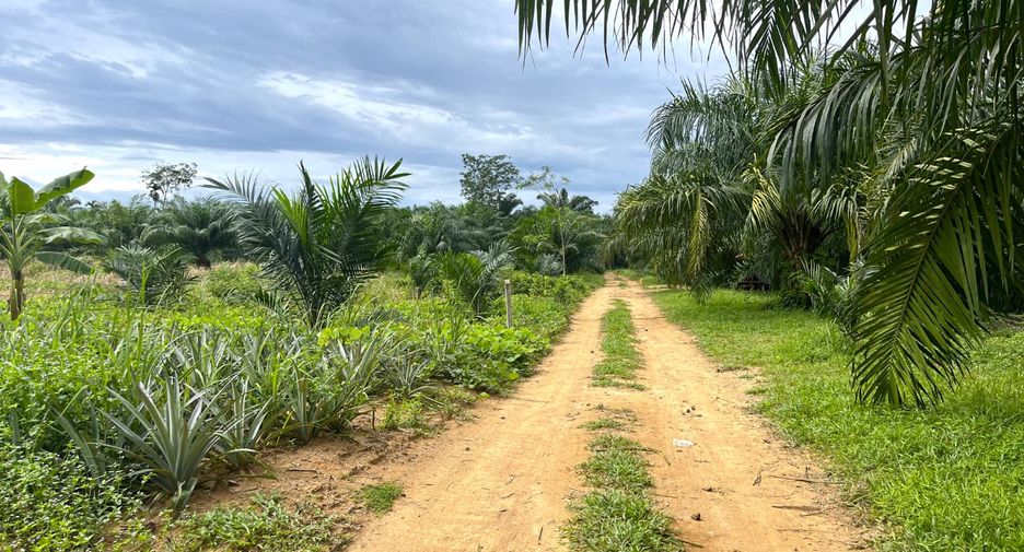 出售 土地 在 Thai Mueang, Phangnga