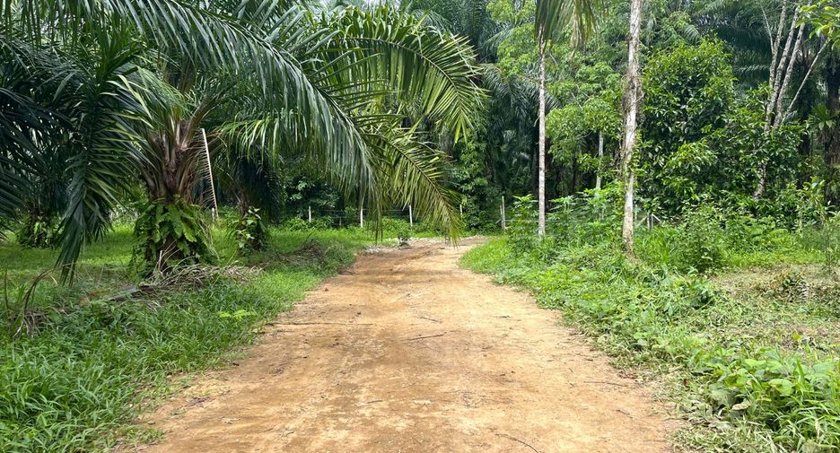 出售 土地 在 Thai Mueang, Phangnga