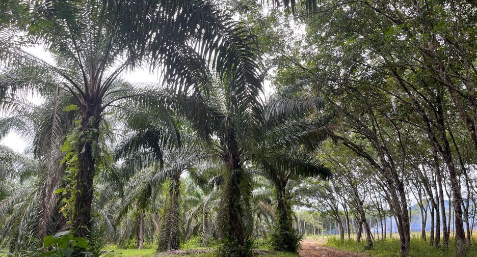 出售 土地 在 Thai Mueang, Phangnga