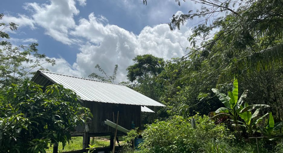 For sale land in Thai Mueang, Phang Nga
