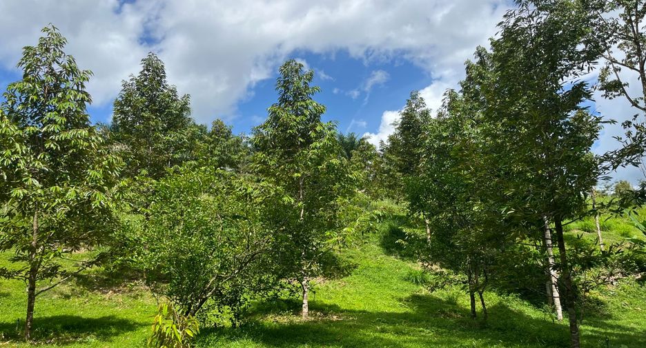 For sale land in Thai Mueang, Phang Nga