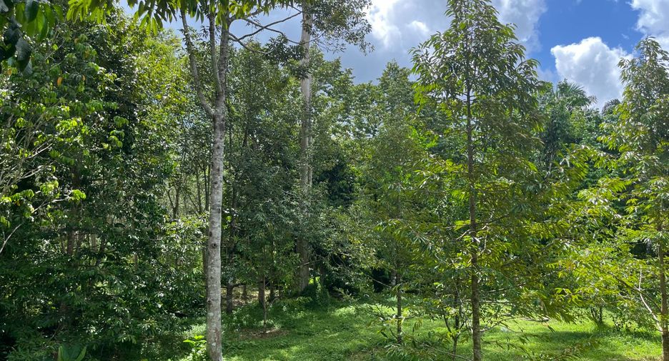 For sale land in Thai Mueang, Phang Nga