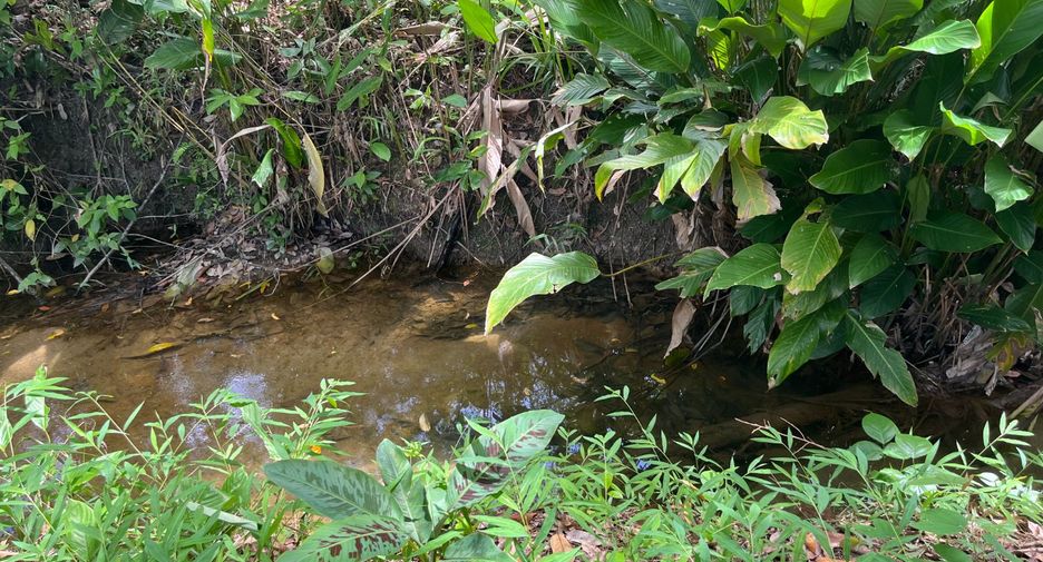 For sale land in Thai Mueang, Phang Nga