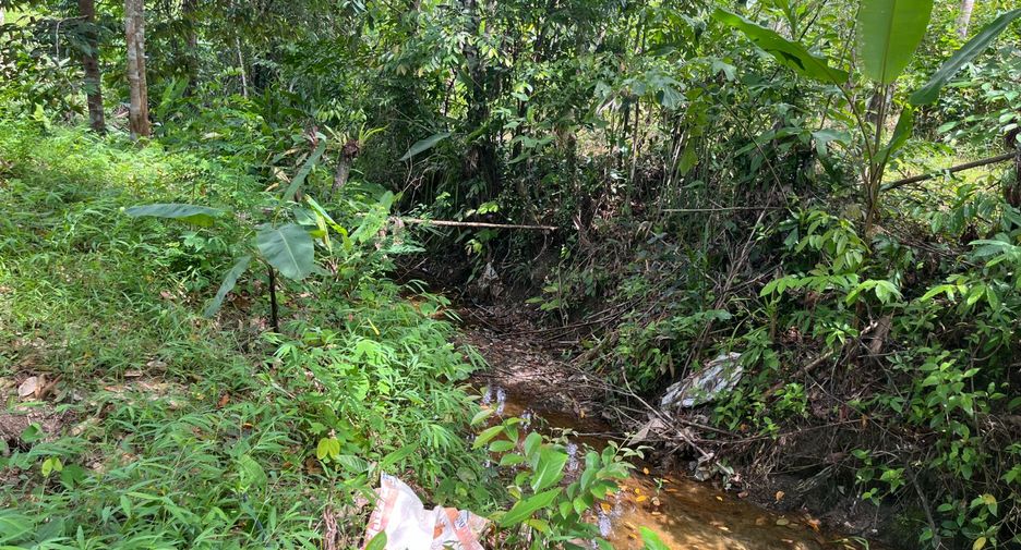 For sale land in Thai Mueang, Phang Nga
