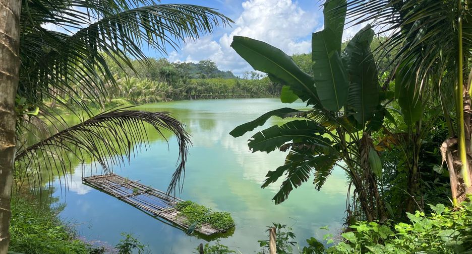 For sale land in Thai Mueang, Phang Nga