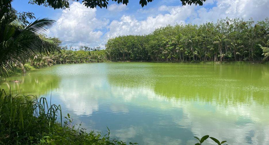 For sale land in Thai Mueang, Phang Nga