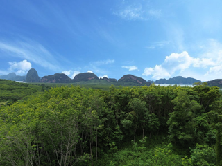 For sale land in Takua Thung, Phang Nga