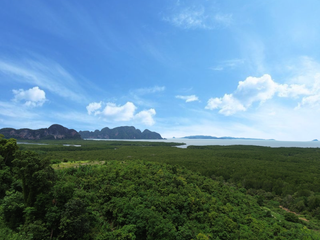 For sale land in Takua Thung, Phang Nga