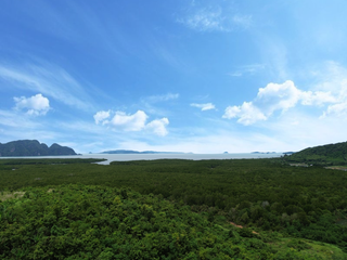 For sale land in Takua Thung, Phang Nga