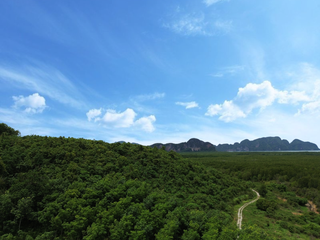 For sale land in Takua Thung, Phang Nga