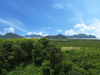 For sale land in Takua Thung, Phang Nga