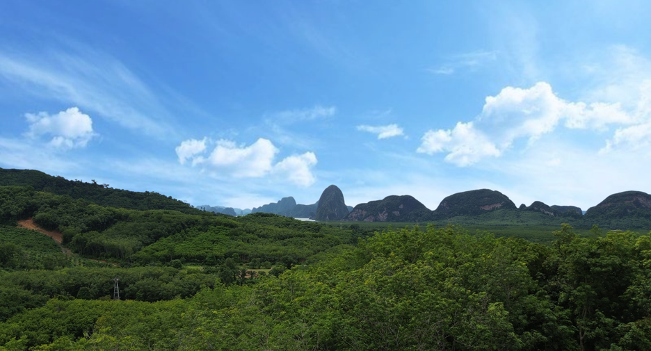 Grundstück zum Kauf in Takua Thung, Phang Nga