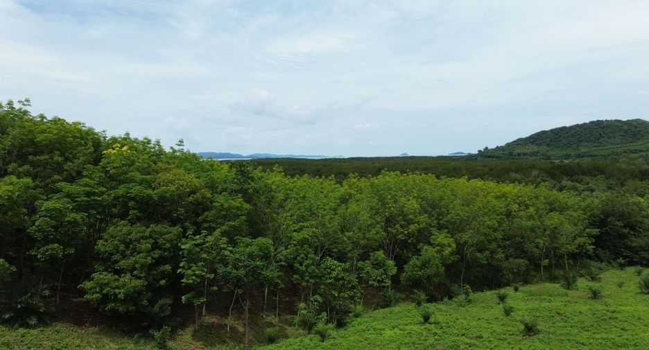 Grundstück zum Kauf in Takua Thung, Phang Nga