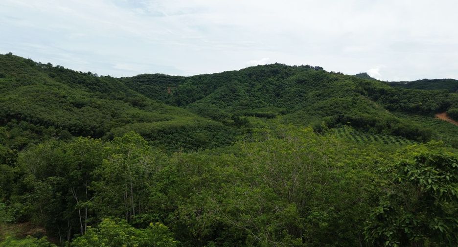 Grundstück zum Kauf in Takua Thung, Phang Nga