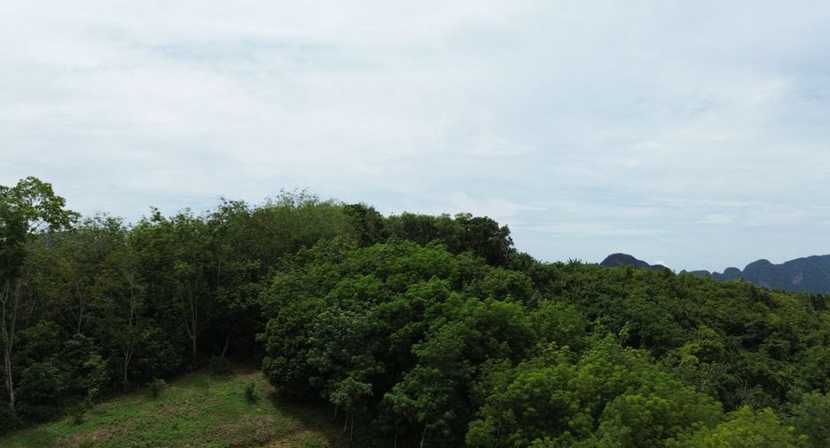 Grundstück zum Kauf in Takua Thung, Phang Nga