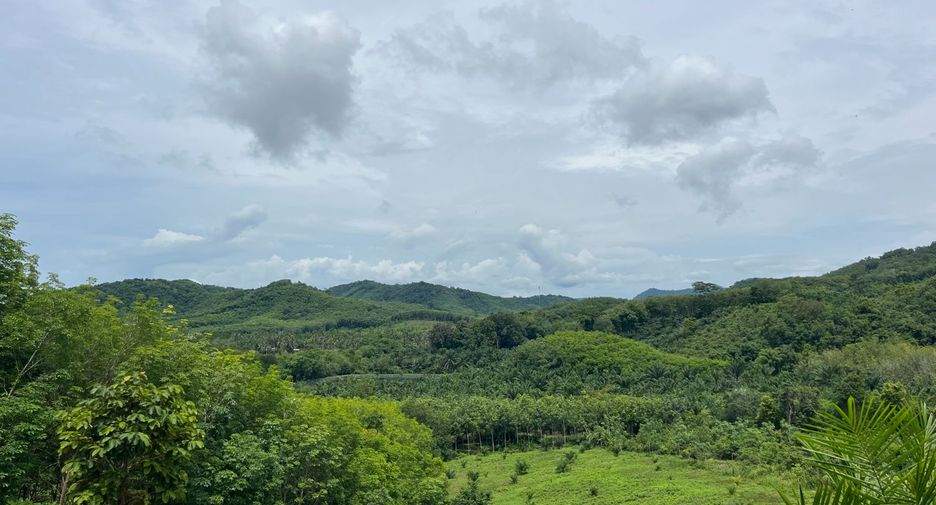 Grundstück zum Kauf in Takua Thung, Phang Nga