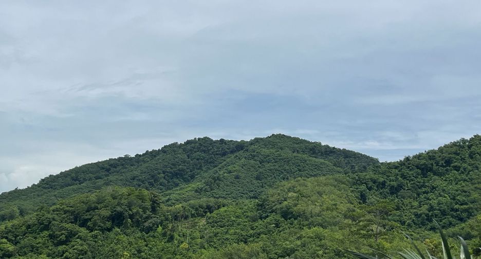 Grundstück zum Kauf in Takua Thung, Phang Nga