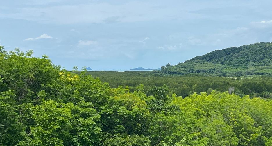 Grundstück zum Kauf in Takua Thung, Phang Nga