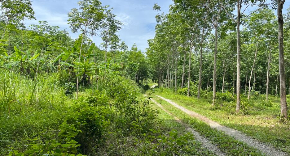 Grundstück zum Kauf in Takua Thung, Phang Nga