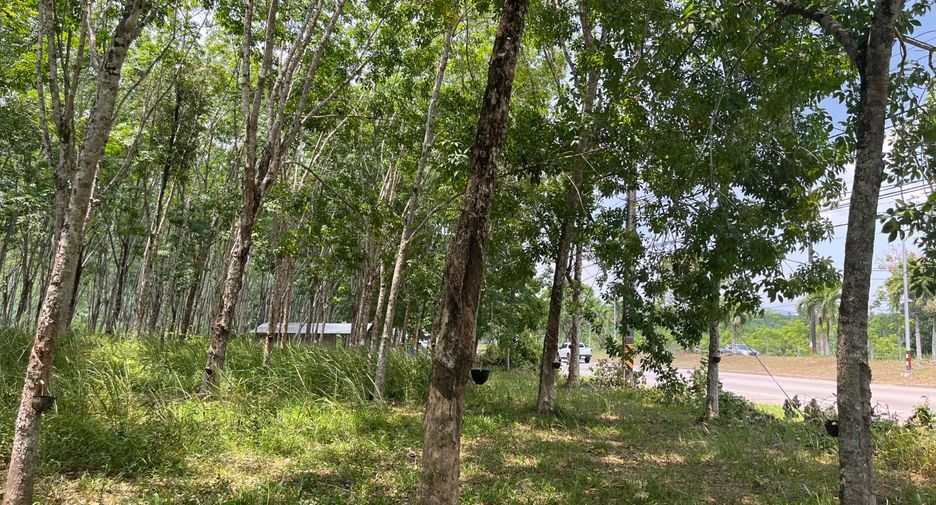For sale land in Takua Thung, Phang Nga