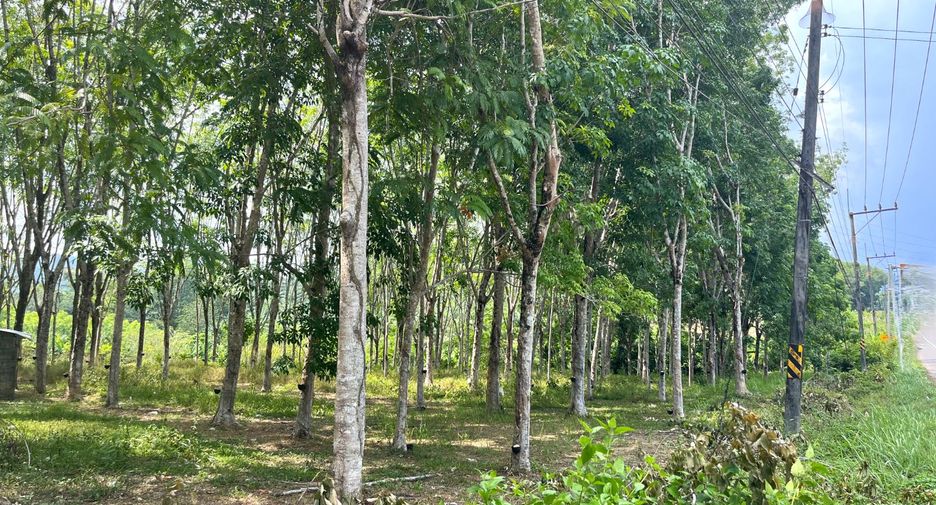 For sale land in Takua Thung, Phang Nga