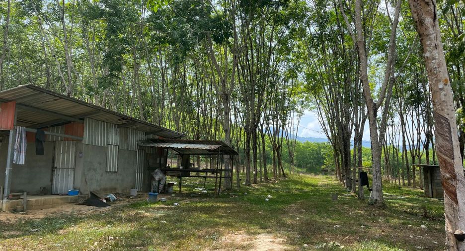 For sale land in Takua Thung, Phang Nga