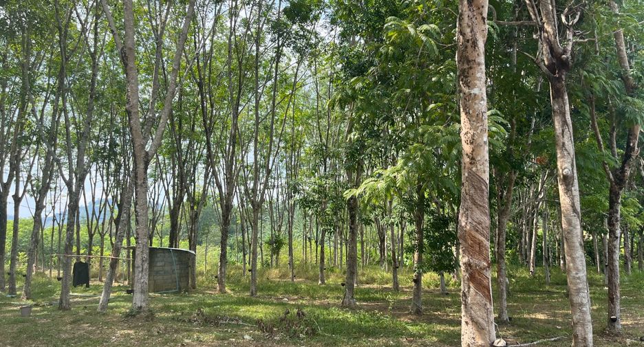 For sale land in Takua Thung, Phang Nga