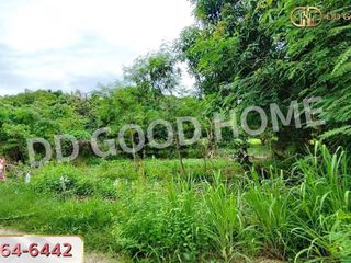For sale land in Kaeng Khoi, Saraburi